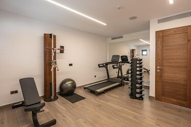 Executive Fitness Suite Sea View with Private Heated Pool &amp; Gym