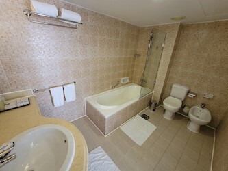 1 Bedroom Executive Pool View Suite