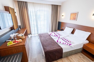 Standard Room without Balcony