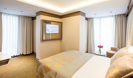 Large Single Room
