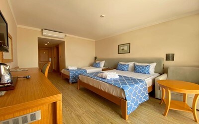 Economy Room