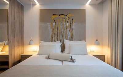 Classic Twin / Double Room