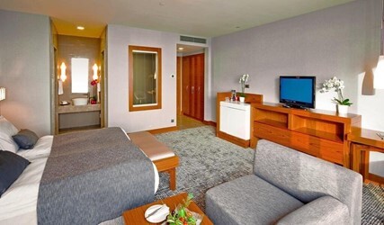 Standard Double or Twin Room with Garden View