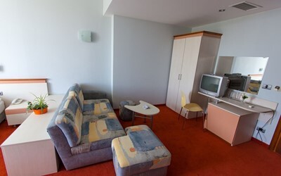  Apartment 1 Bedroom