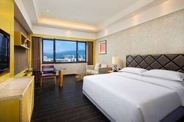 City View Room