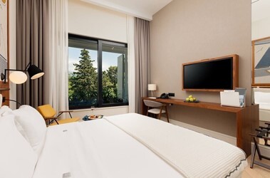 Superior Room Garden View Infinity
