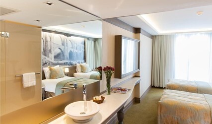 Double or Twin Room