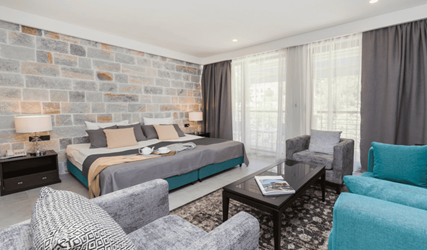 Junior Suite Mountain View