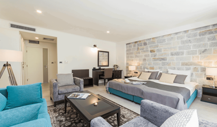 Junior Suite Mountain View