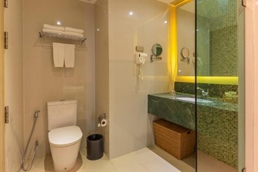 Deluxe Plus Room