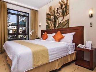 Executive Premiere Room