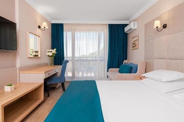 Standard Room Park View