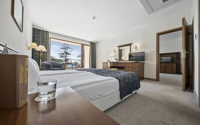 Apartment 1 Bedroom