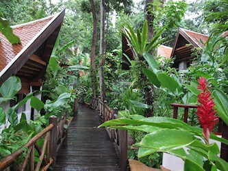 Jungle View Room