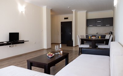 1 Bedroom Apartment Ap1
