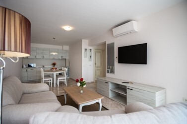 Apartment 1 Bedroom