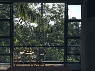 The Forest Suite