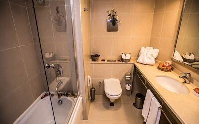 Economy Room
