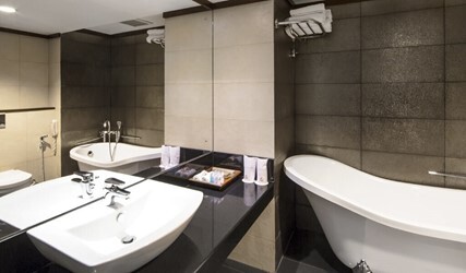 Luxury Suite