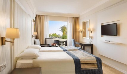 Deluxe Twin Room Pool - Garden View