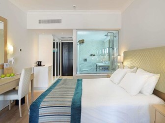 Deluxe Superior Room With Private Garden