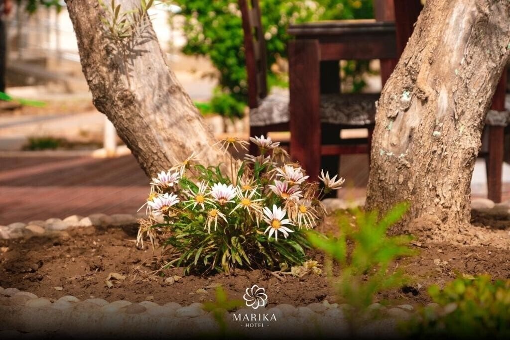 Marika 3* фотосуреті