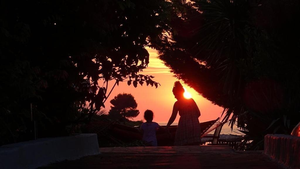 Abalone 3* суреті