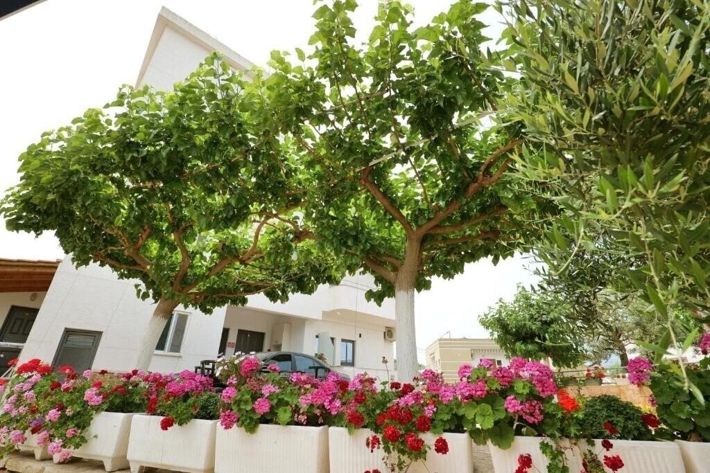 Отель Gerard Guest House 3*