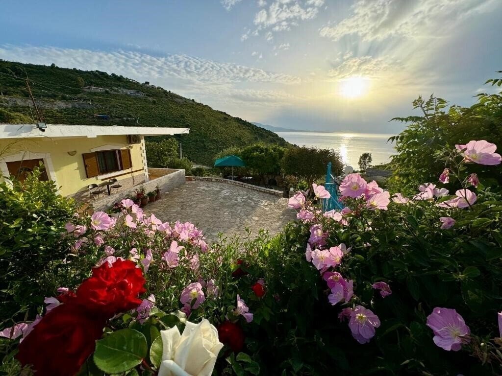 Картинка Vila Paza Apartments 2*