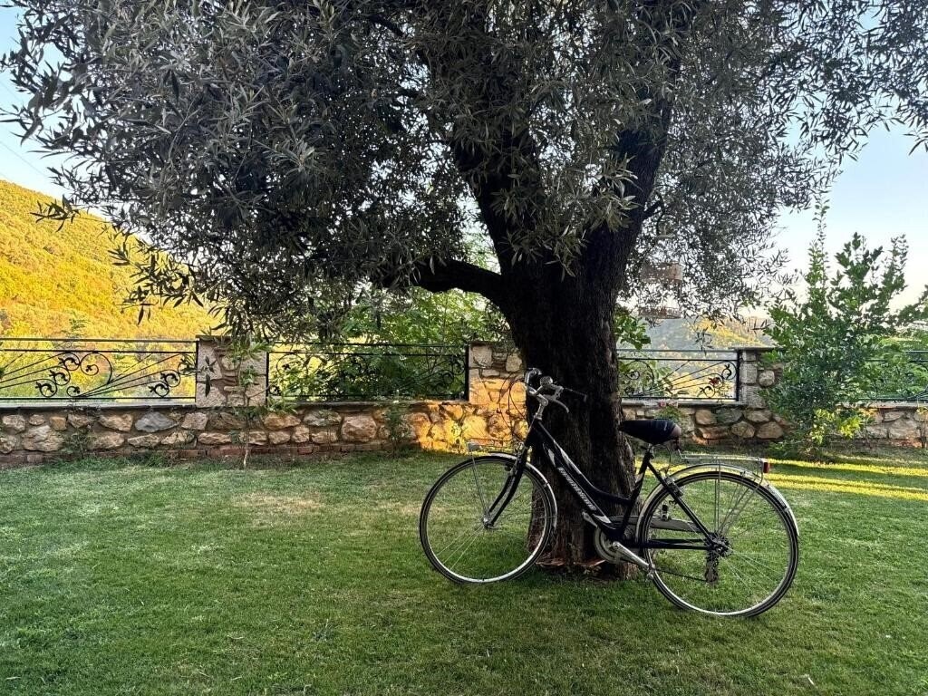 Chateau Fasel 3* суреті