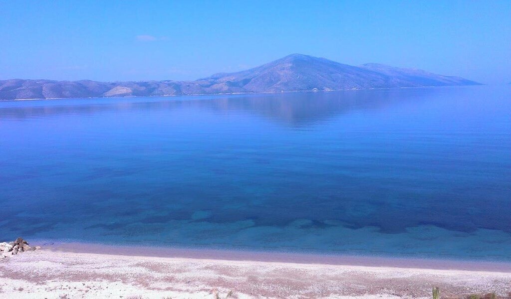 Aler Residence Vlora (ex. Aler Residence Vlora) 4* суреті