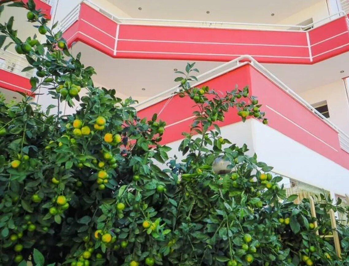 Фотография Hotel Leon's (ex. Hotel Leon, Hotel Leons) 3*