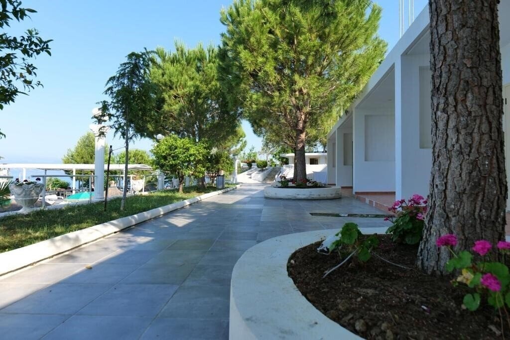 Изображение Edva 3*