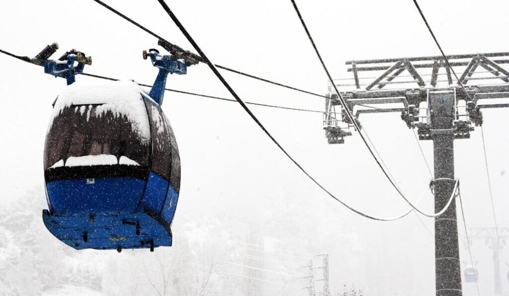 Arbre De Neu 3* суреті