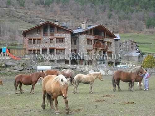 Aparthotel Fijat 3* фотосуреті