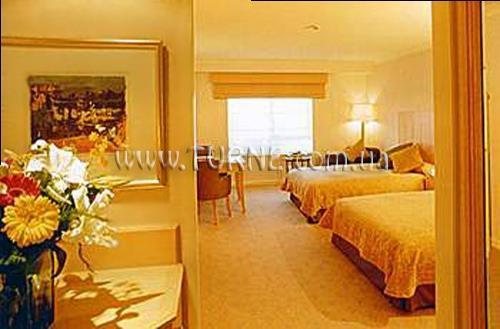 Swissotel Sydney 5* суреті