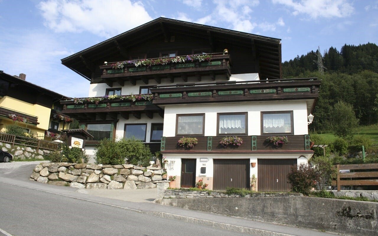 Отель Pension Austria 3*