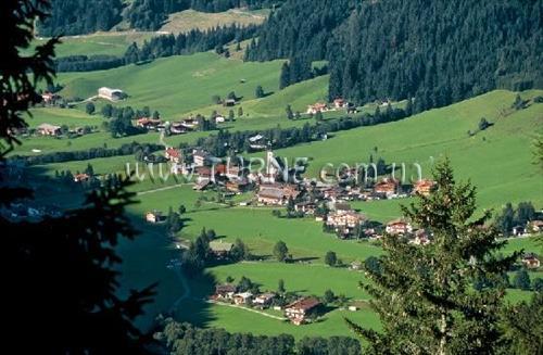 Отель Aschauer Hof 3*