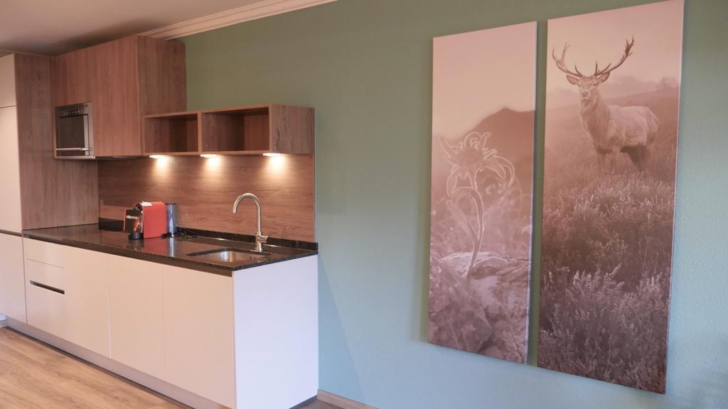 Alpin Hotel Schrofenblick 4* суреті