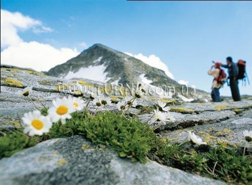 Vier Jahreszeiten 4* қонақ үйі