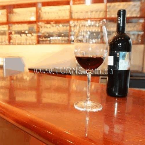 Arion Hotel Vienna Airport 3* суреті