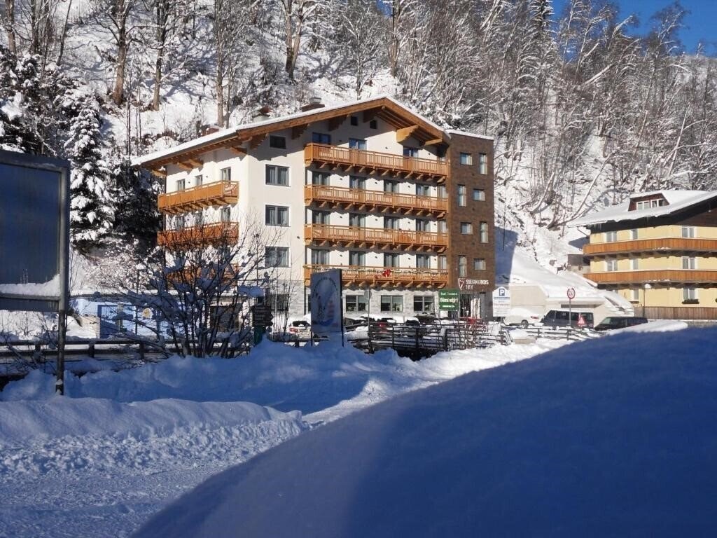 Pension Siegmundshof 3* суреті