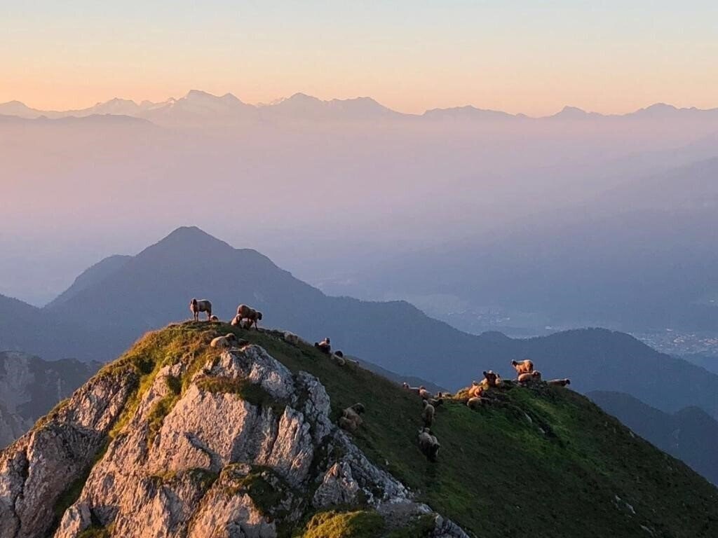 Картинка Menthof 3*