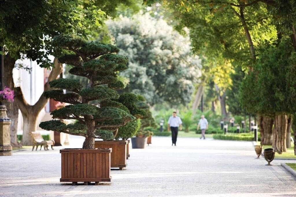 Картинка Central Baku 4*