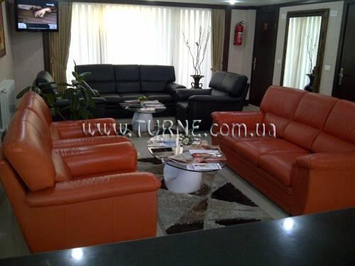 Alp Inn Hotel 4* суреті