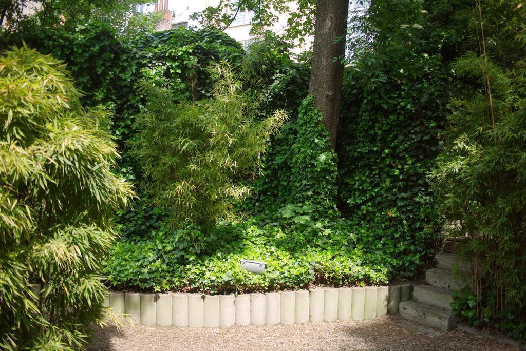 Du Congres 3* суреті