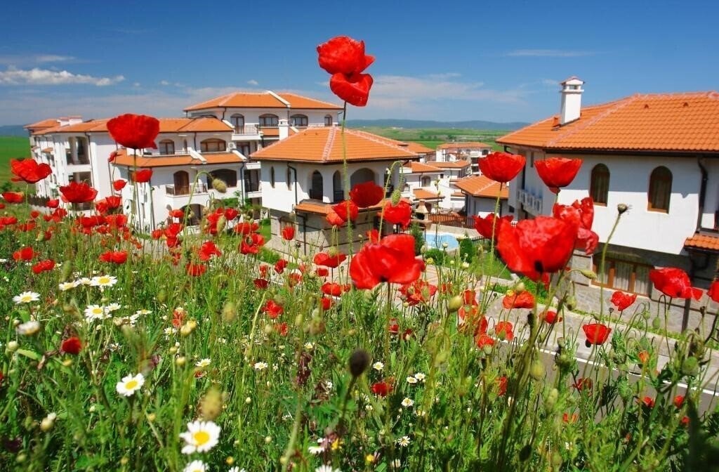Отель Vineyards Resort 4*