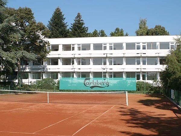 Изображение Kamelia 2*