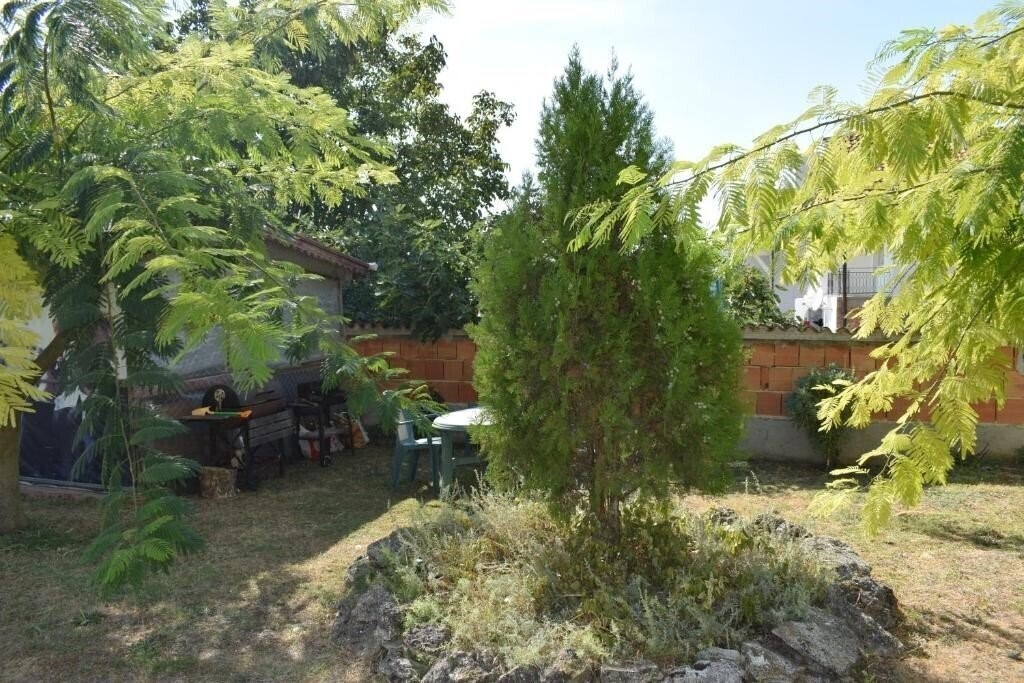 Sunny-Viki 2* фотосуреті