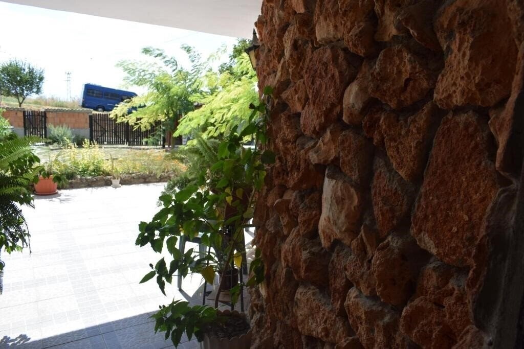 Sunny-Viki 2* суреті